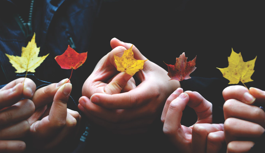 Diversity: A Driver of Innovation and Performance